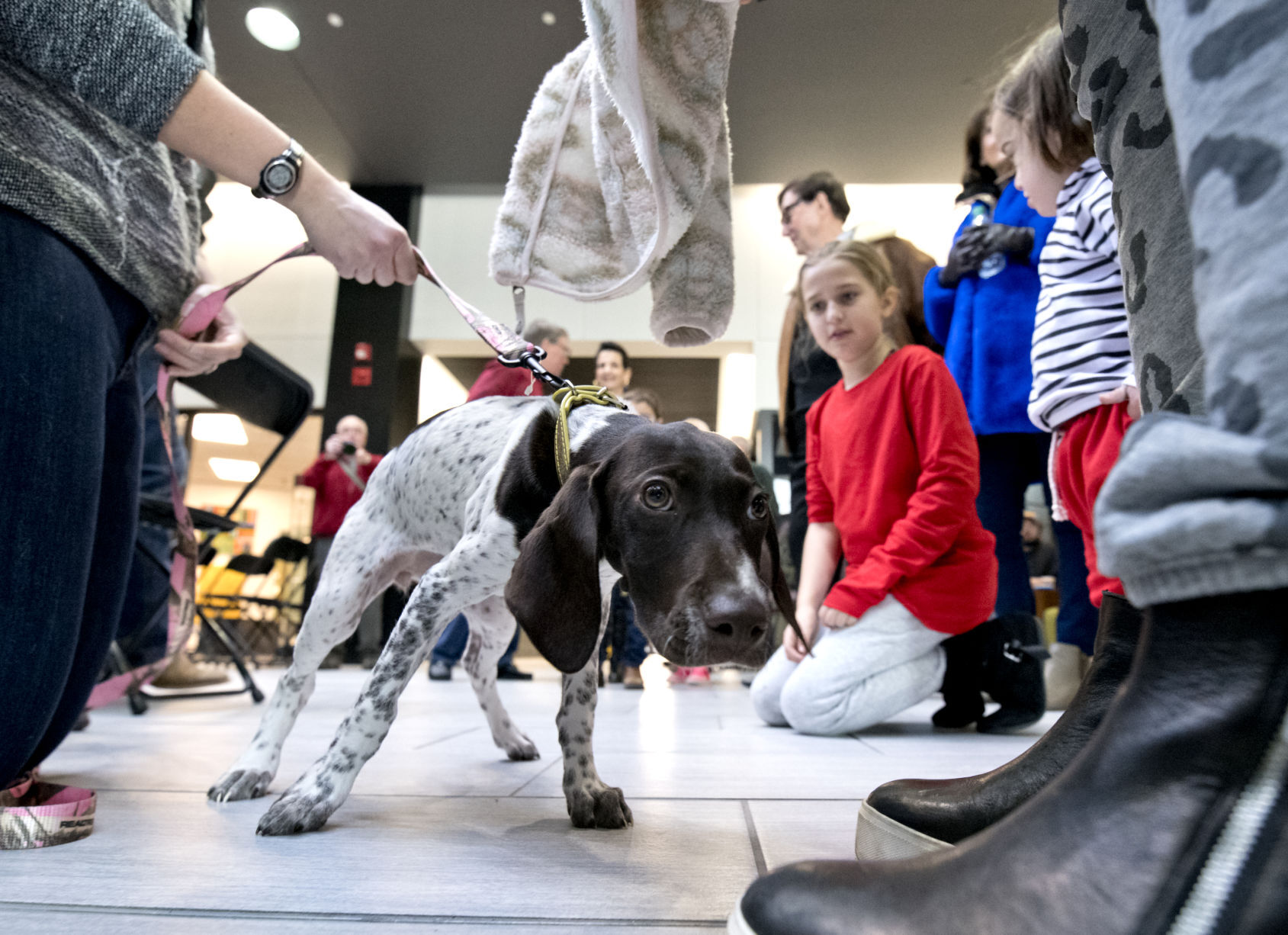 2019 Little Yellow Dog Auction